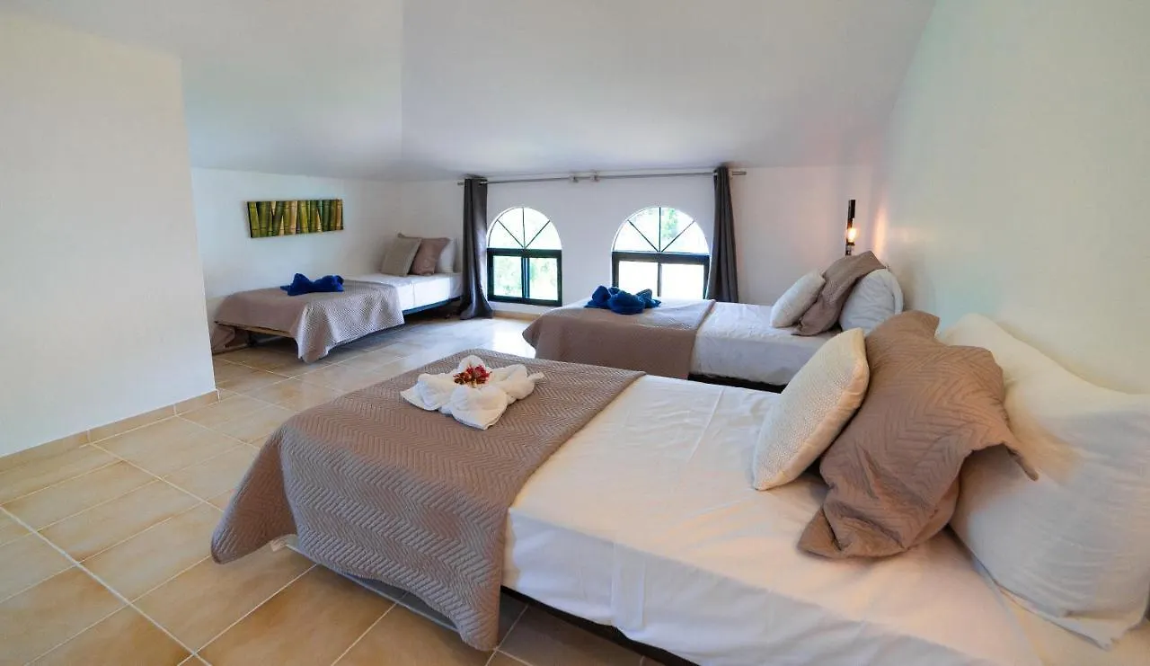 アパート Aparta Hotel Monte Vista